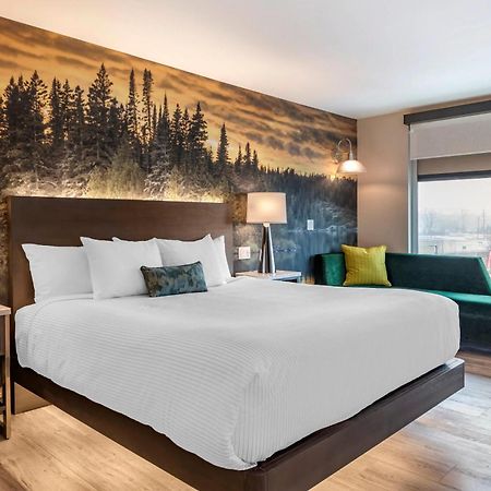 Cambria Hotel Shelby Township - Detroit Utica Shelby Twp Esterno foto