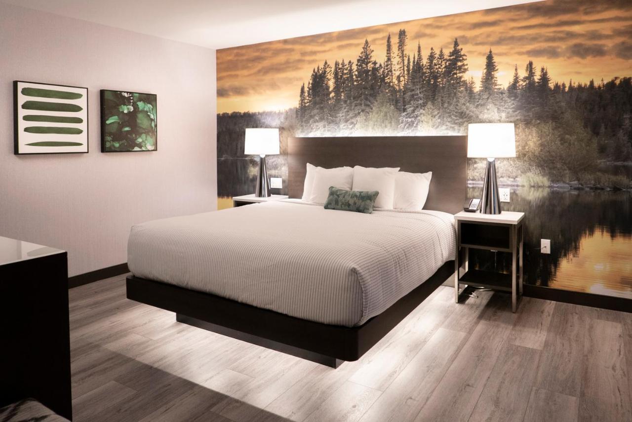 Cambria Hotel Shelby Township - Detroit Utica Shelby Twp Esterno foto