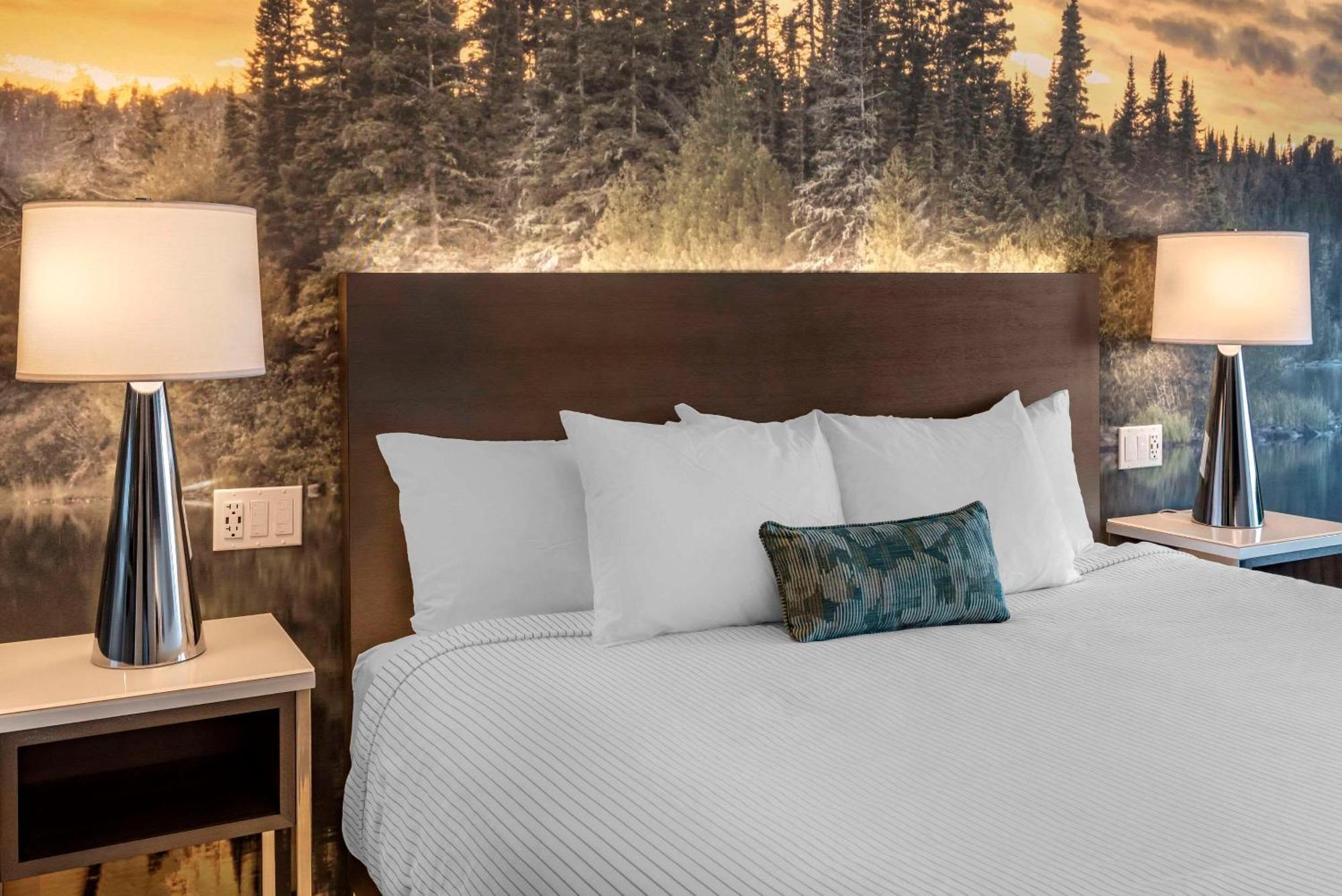 Cambria Hotel Shelby Township - Detroit Utica Shelby Twp Esterno foto