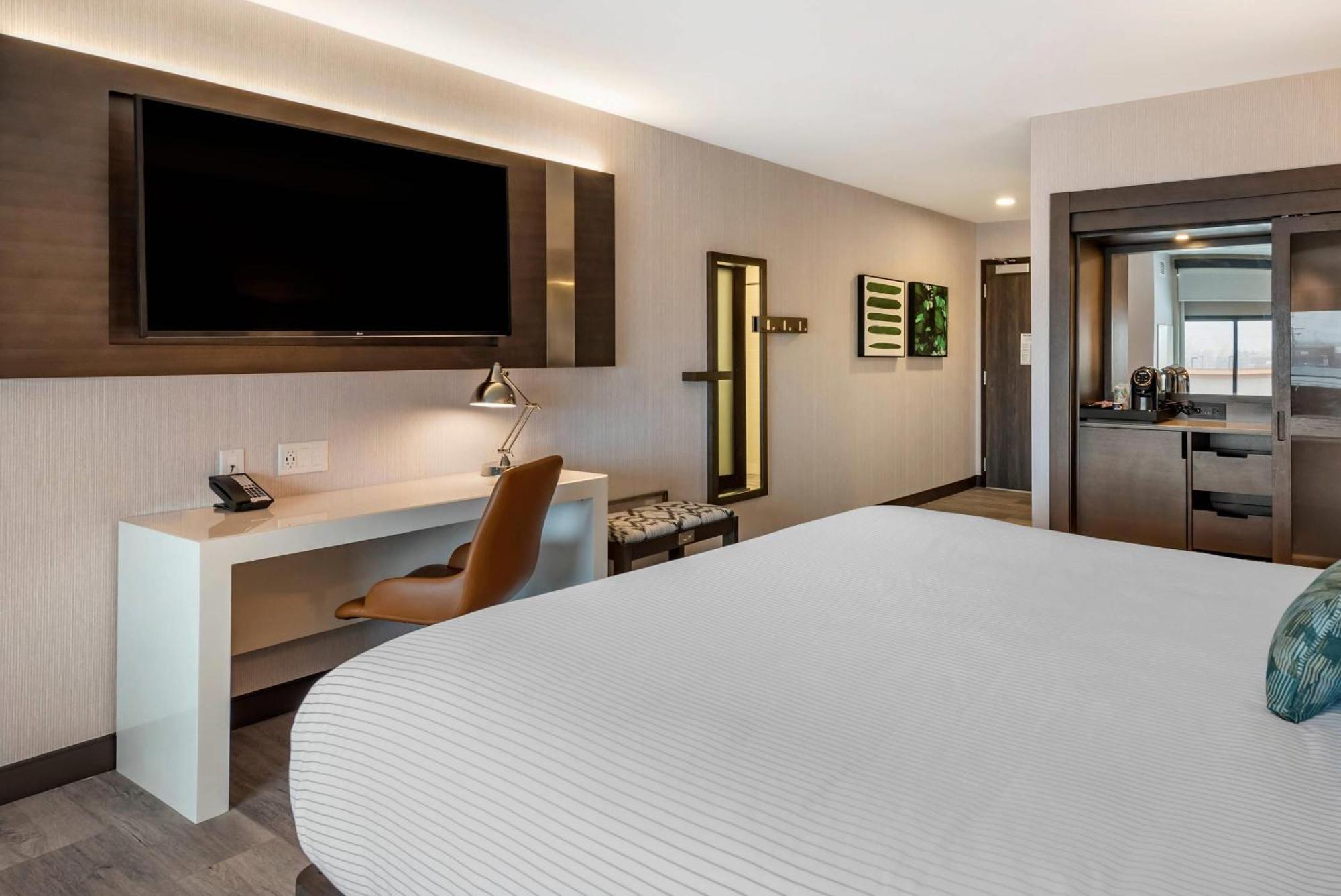 Cambria Hotel Shelby Township - Detroit Utica Shelby Twp Esterno foto