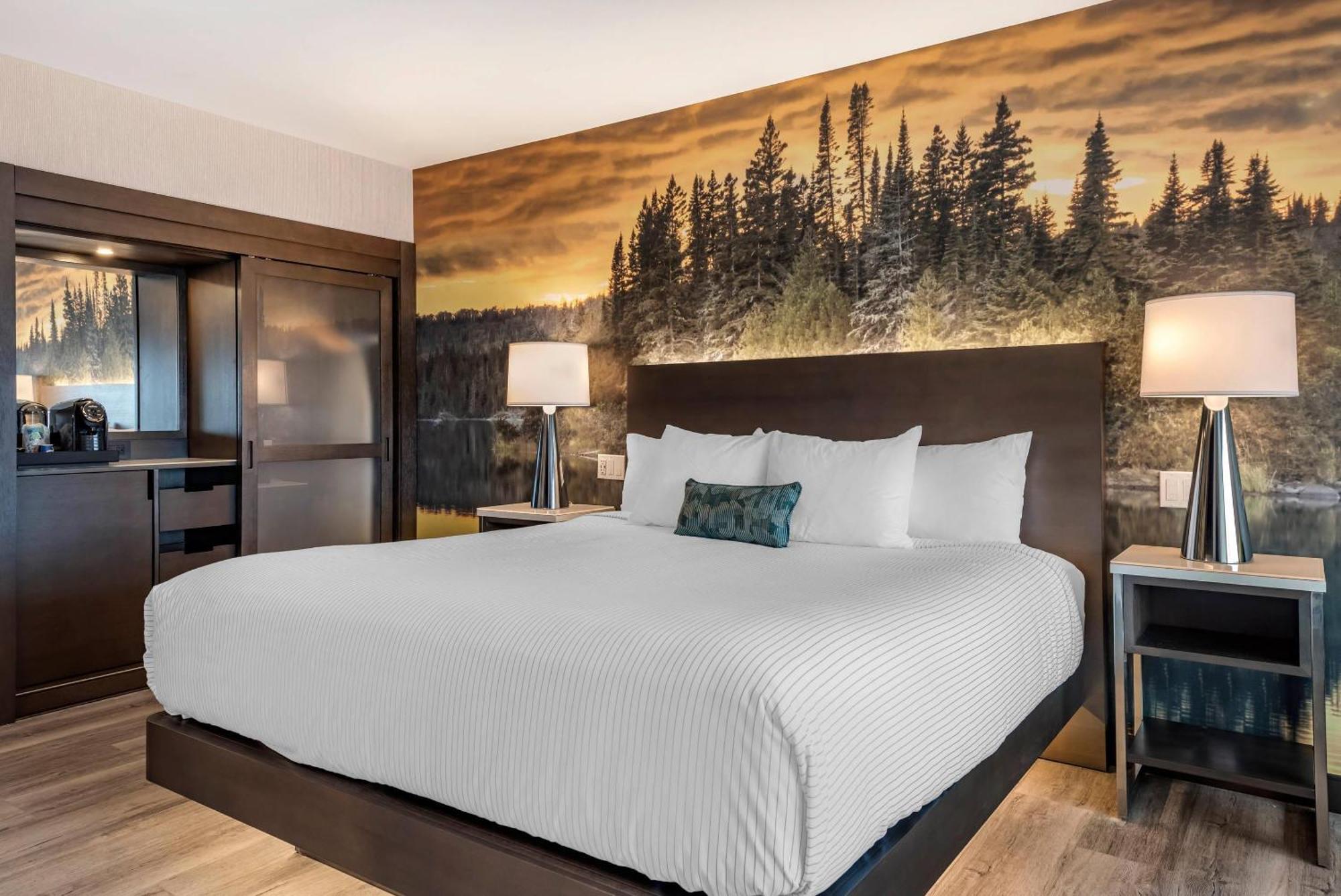 Cambria Hotel Shelby Township - Detroit Utica Shelby Twp Esterno foto